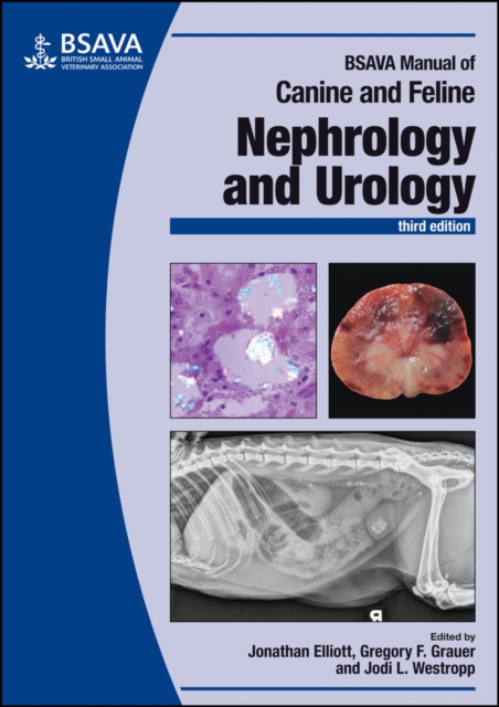 BSAVA Manual of Canine and Feline Nephrology and Urology, Paperback / softback Book