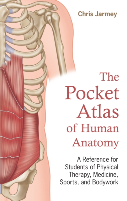 The Pocket Atlas of Human Anatomy, Paperback / softback Book