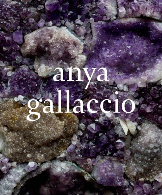 Anya Gallaccio, Hardback Book
