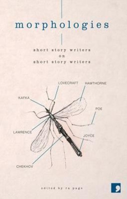 Morphologies : Short Story Writers on Short Story Writers, Paperback / softback Book