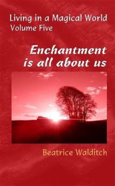 Enchantment is All About Us, Paperback / softback Book