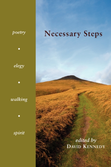 Necessary Steps : Poetry, Elegy, Walking, Spirit, Paperback / softback Book