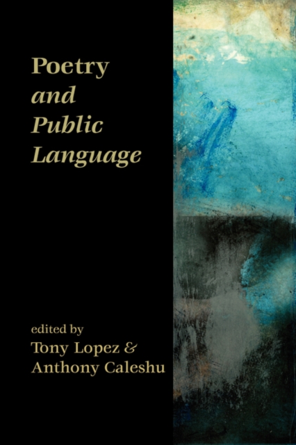 Poetry and Public Language, Paperback / softback Book