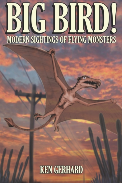 Big Bird! : Modern Sightings of Flying Monsters, Paperback / softback Book