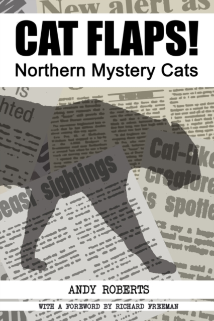 CAT FLAPS! Northern Mystery Cats, Paperback / softback Book