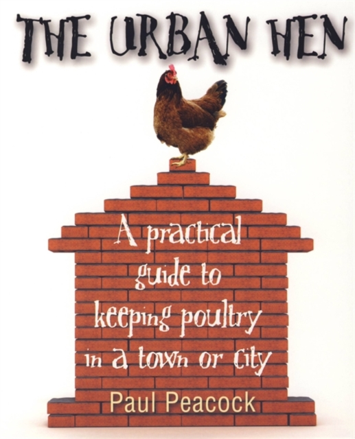 The Urban Hen : A practical guide to keeping poultry in a town or city, Paperback / softback Book