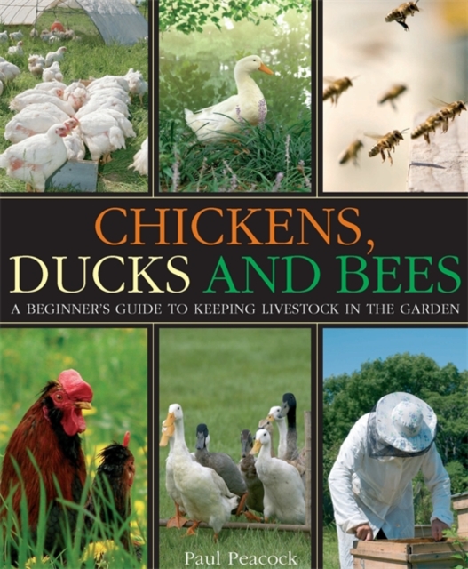Chickens, Ducks and Bees : A beginner's guide to keeping livestock in the garden, Paperback / softback Book