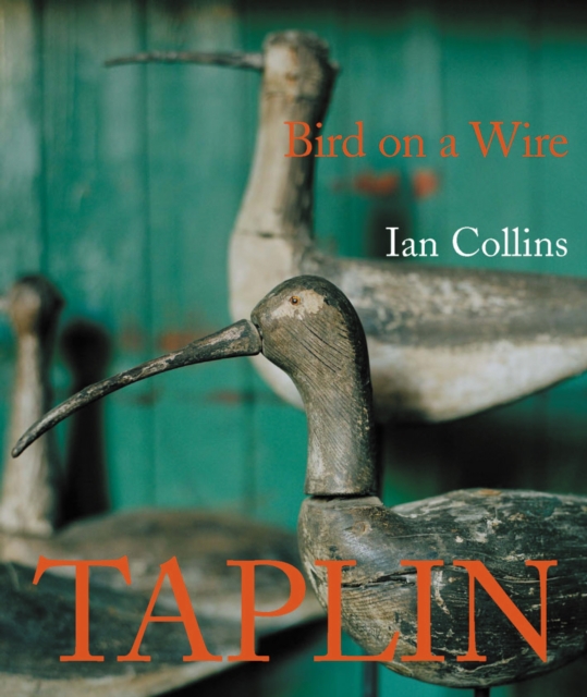 Bird on a Wire: the Life and Art of Guy Taplin, Hardback Book