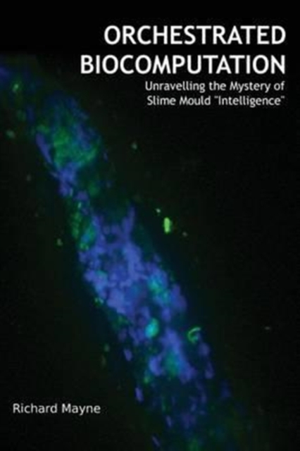 Orchestrated Biocomputation : Unravelling the Mystery of Slime Mould "Intelligence", Paperback / softback Book