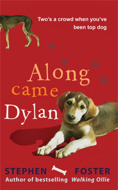 Along Came Dylan: Two's a Crowd When You've Been Top Dog, Paperback / softback Book