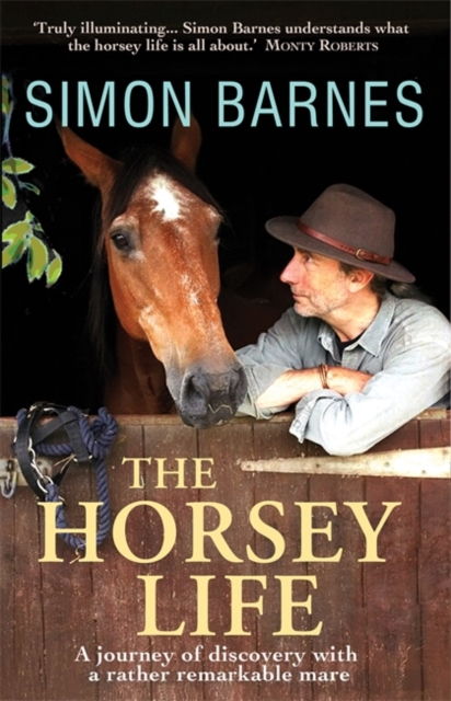 The Horsey Life : A Journey of Discovery with a Rather Remarkable Mare, Paperback / softback Book