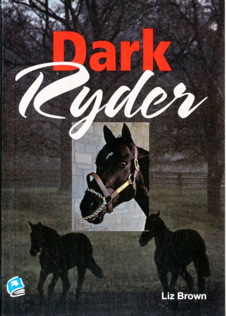 Dark Ryder, Paperback / softback Book