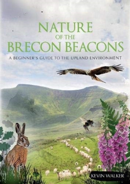 Nature of the Brecon Beacons : A Beginners Guide to the Upland Environment, Paperback / softback Book