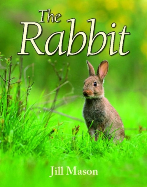 The Rabbit, Hardback Book