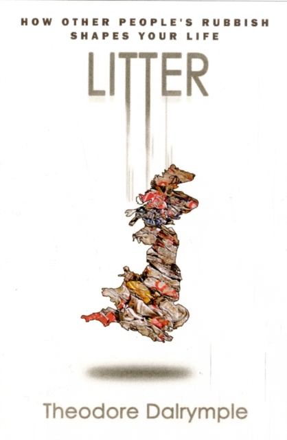 Litter : How other people's rubbish shapes your life, Hardback Book