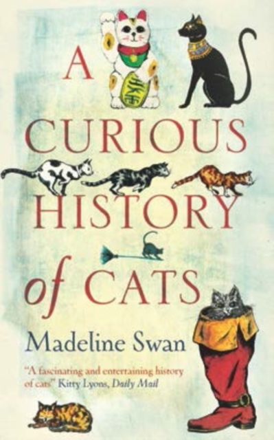 A Curious History of Cats, Hardback Book
