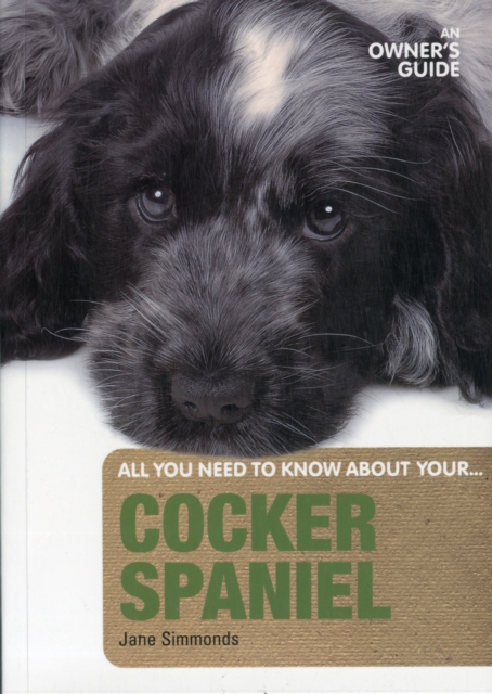 Cocker Spaniel : An Owner's Guide, Paperback / softback Book