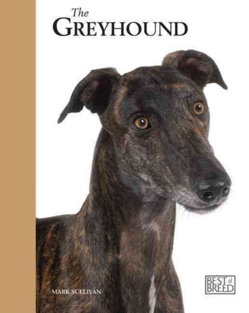 The Retired Racing Greyhound, Hardback Book