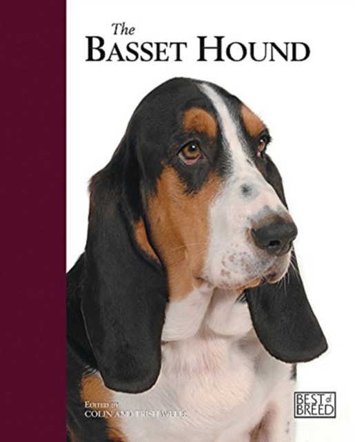 Basset Hound : Basset Hound Best of Breed, Hardback Book