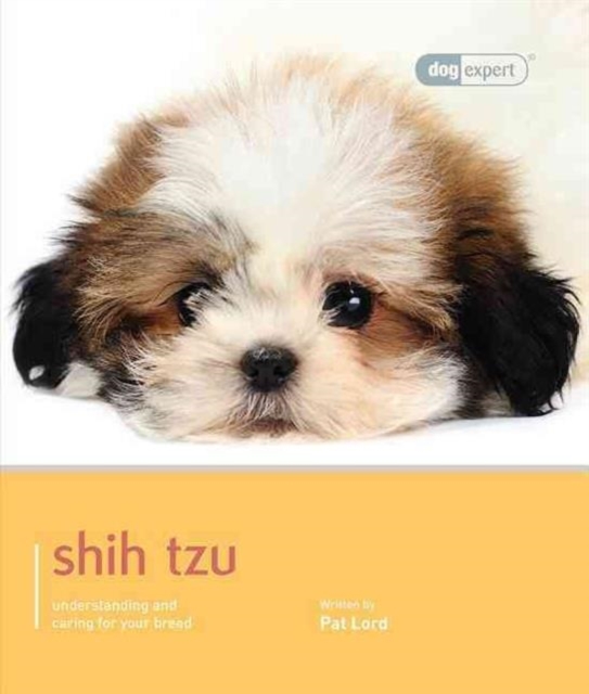 Shih Tzu - Dog Expert, Paperback / softback Book