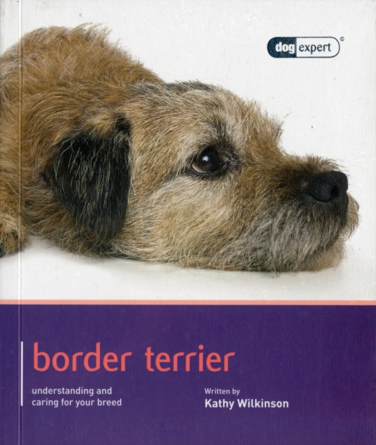 Border Terrier - Dog Expert, Paperback / softback Book