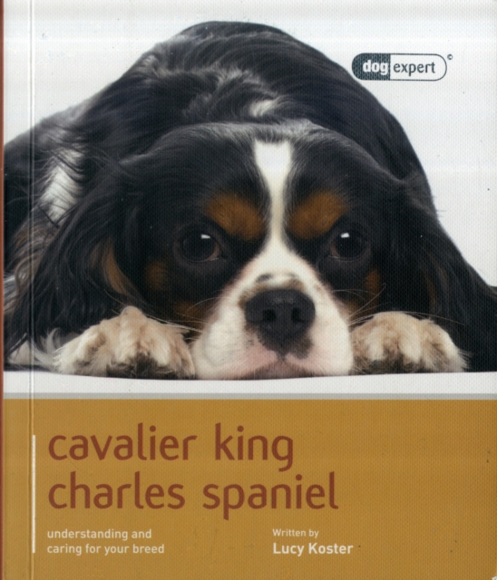 Cavalier King Charles Spaniel - Dog Expert, Paperback / softback Book