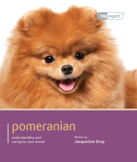 Pomeranian - Dog Expert, Paperback / softback Book