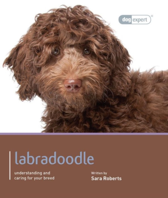 Labradoodle - Dog Expert, Paperback / softback Book