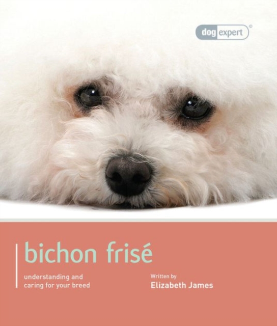 Bichon Frise : Bichon Frise - Dog Expert, Paperback / softback Book