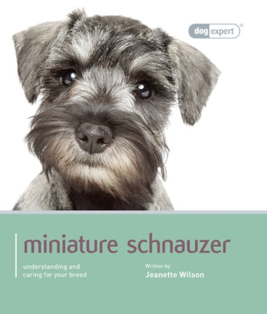 Miniature Schnauzer : Miniature Schnauzer - Dog Expert, Paperback / softback Book