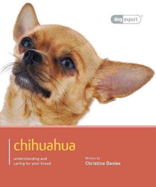 Chihuahua : Chihuahua - Dog Expert, Paperback / softback Book