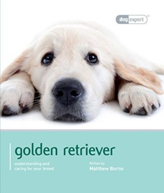 Golden Retriever - Dog Expert, Paperback / softback Book