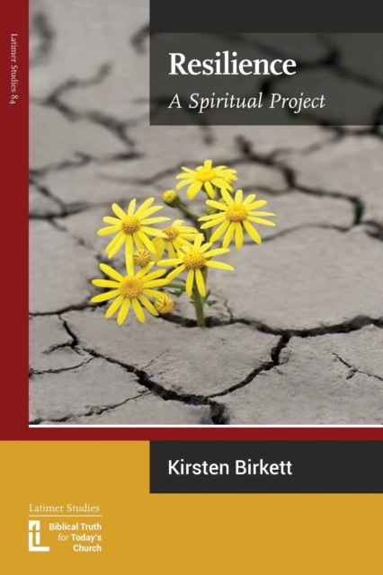 Resilience : A Spiritual Project, Paperback / softback Book
