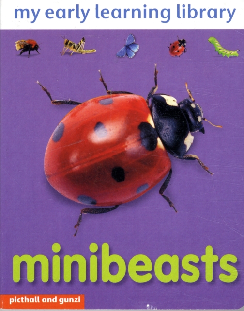 Mini Beasts, Board book Book