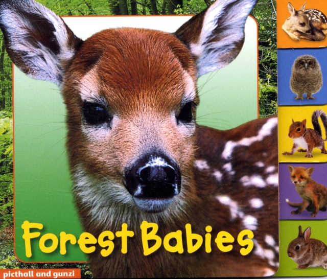 Animal Tabs: Forest Babies, Board book Book