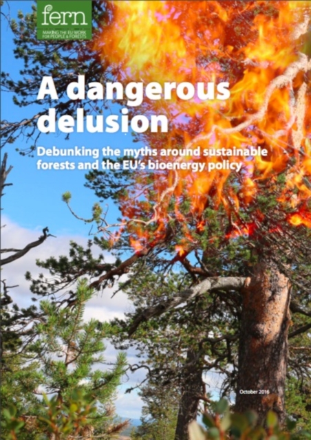 A Dangerous Delusion : Debunking the Myths Around Sustainable Forests and the EU's Bioenergy Policy, Paperback / softback Book