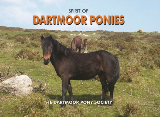 Spirit of Dartmoor Ponies, Hardback Book