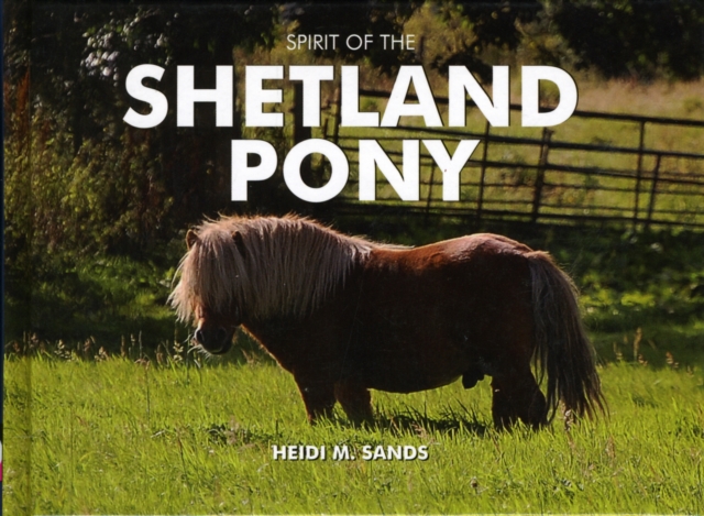 Spirit of the Shetland Pony, Hardback Book