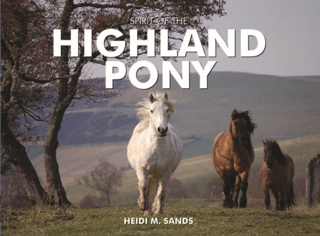 Spirit of the Highland Pony, Hardback Book