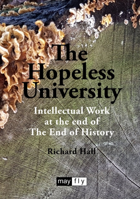 The Hopeless University : Intellectual Work at the end of The End of History, Paperback / softback Book