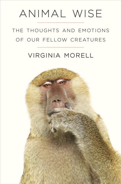 Animal Wise, EPUB eBook