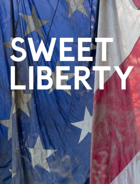 Dan Colen : Sweet Liberty, Hardback Book