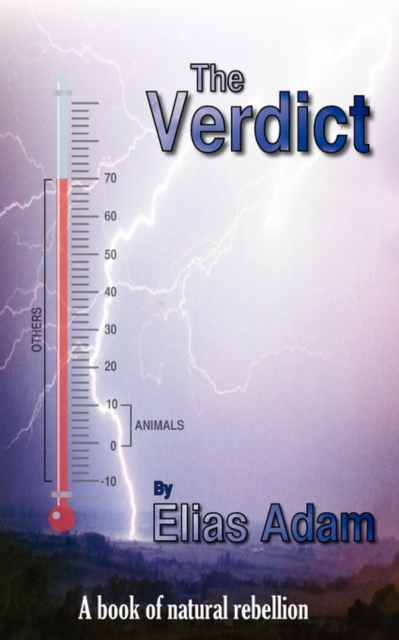 The Verdict, Paperback / softback Book