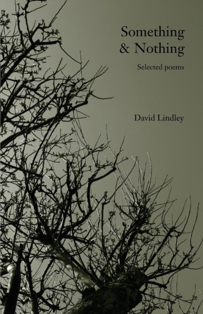 Something & Nothing : Selected Poems, Paperback / softback Book