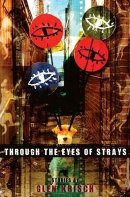 Through the Eyes of Strays, Paperback / softback Book