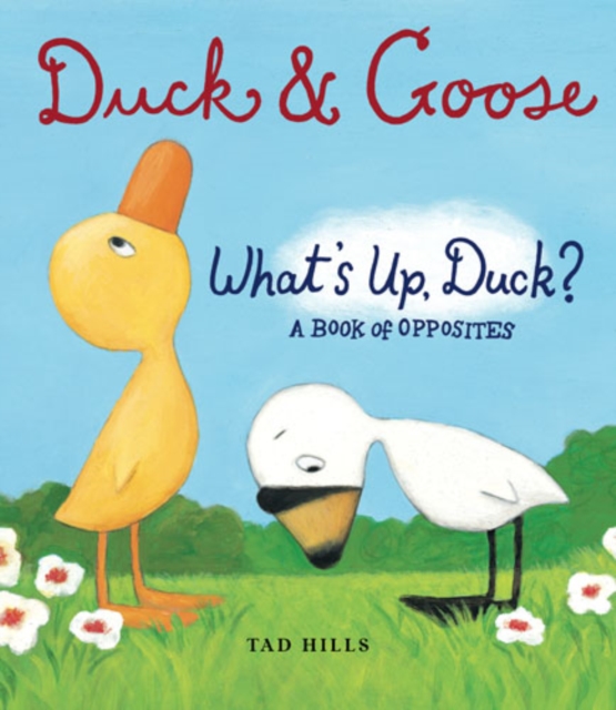 A Book of Opposites : Duck and Goose: What's Up Duck?, Paperback / softback Book