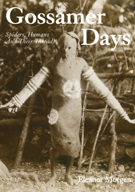 Gossamer Days : Spiders, Humans and Their Threads, Paperback / softback Book