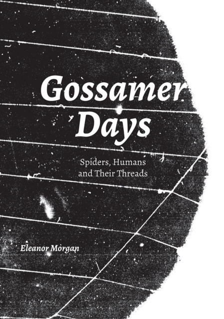 Gossamer Days : Spiders, Humans and Their Threads, Paperback / softback Book