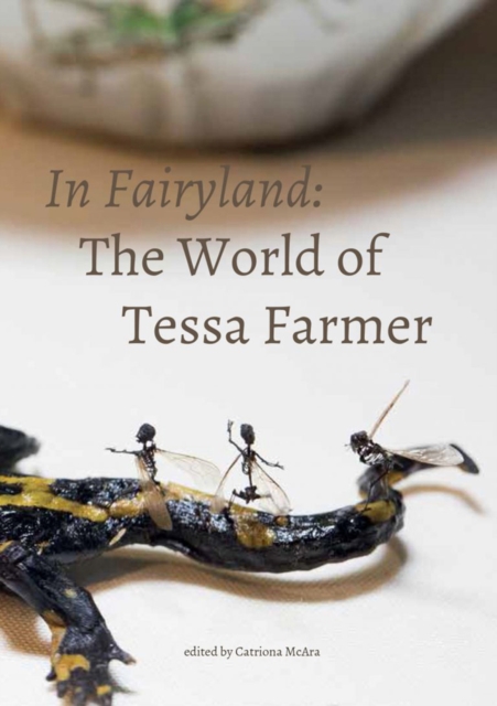 In Fairyland : The World of Tessa Farmer, Paperback / softback Book