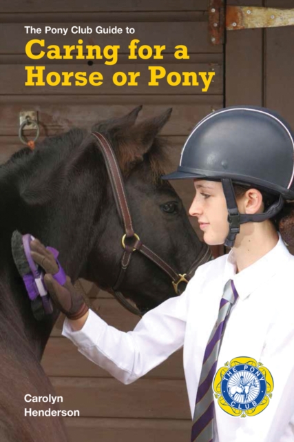 Caring for a Horse or Pony : A Pony Club Guide, Paperback / softback Book